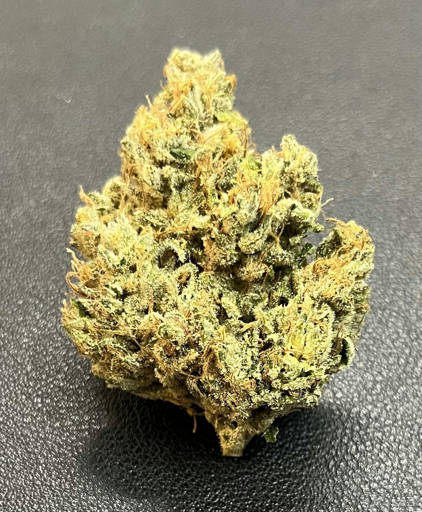 mt hood magic: A -eastwood Gardens