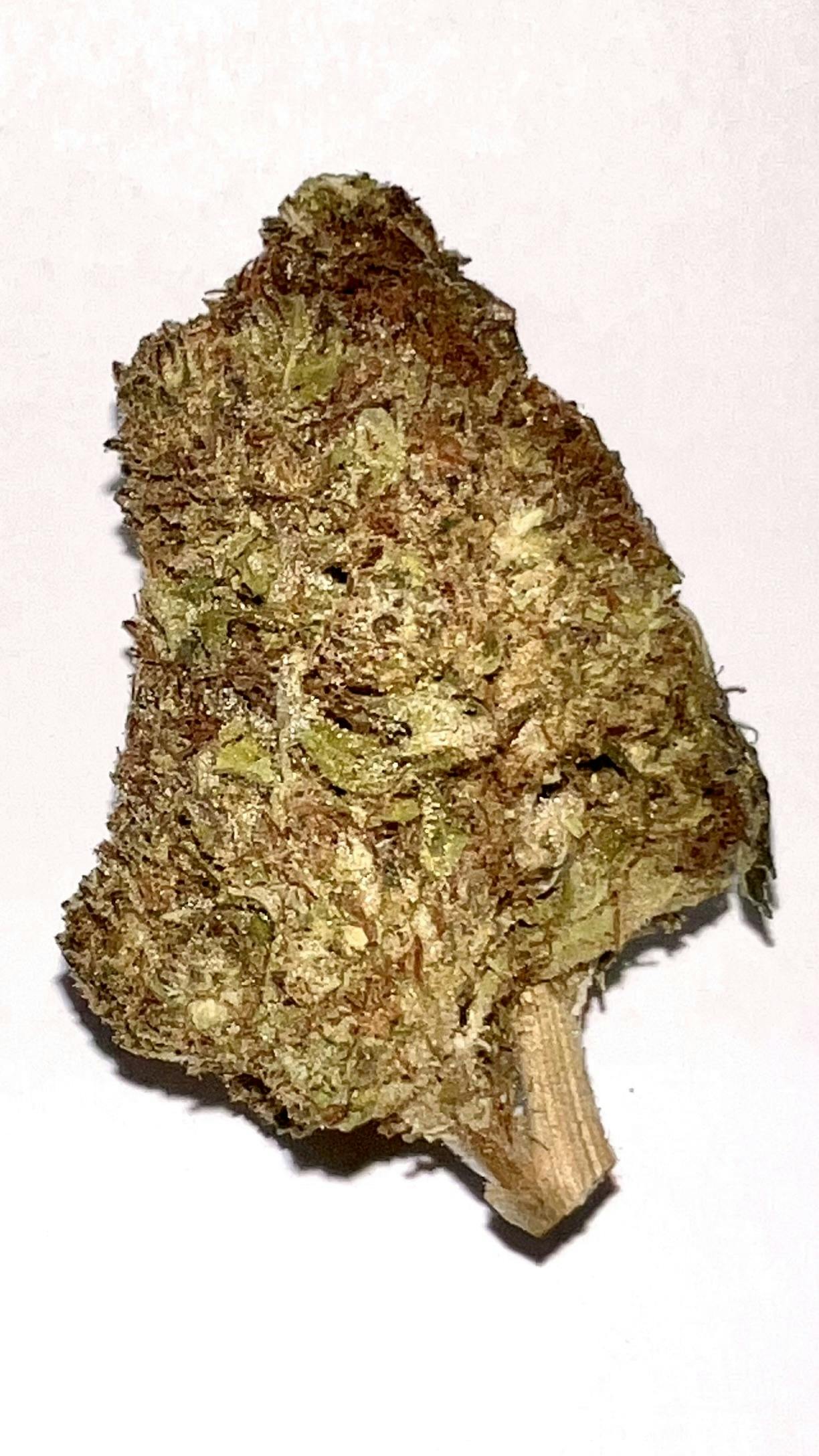 Blue: City Diesel-williams Wonder Farms