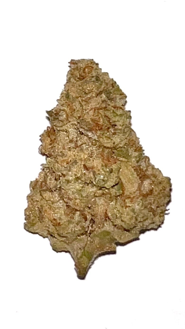 Slurricane: A- Williams Wonder Farms