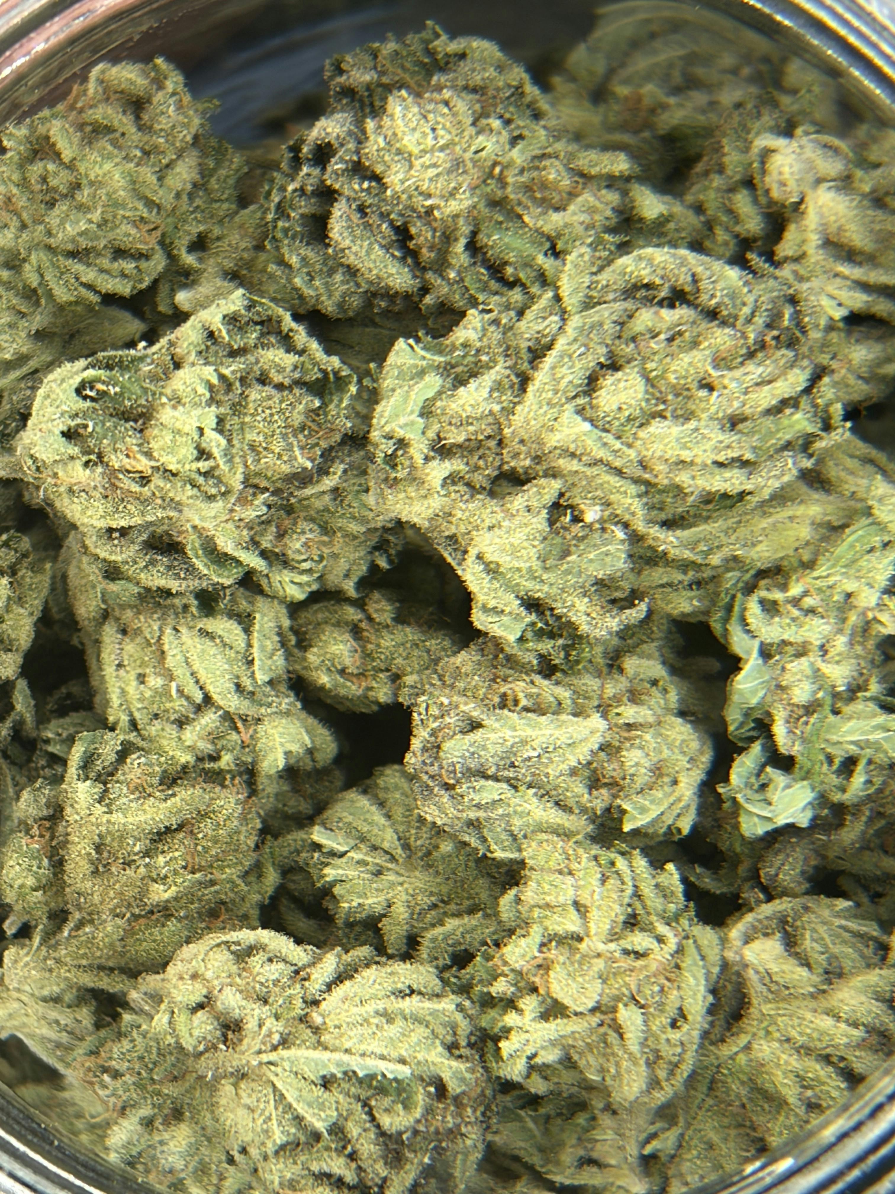 Tigerz Blood Buds- For $6 Deal