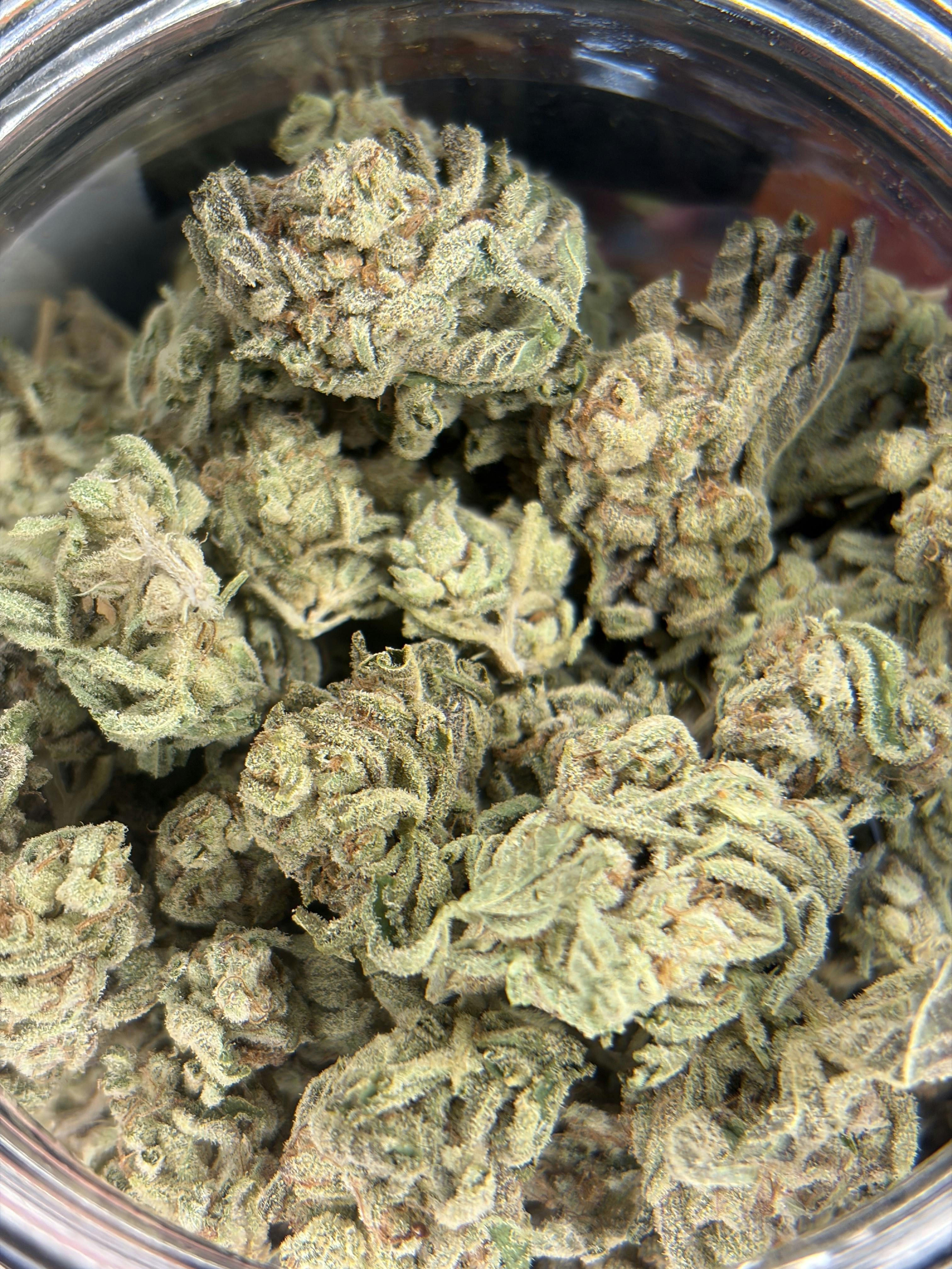 Apple Tartz: 1/OZ Pre-packaged Buds- $