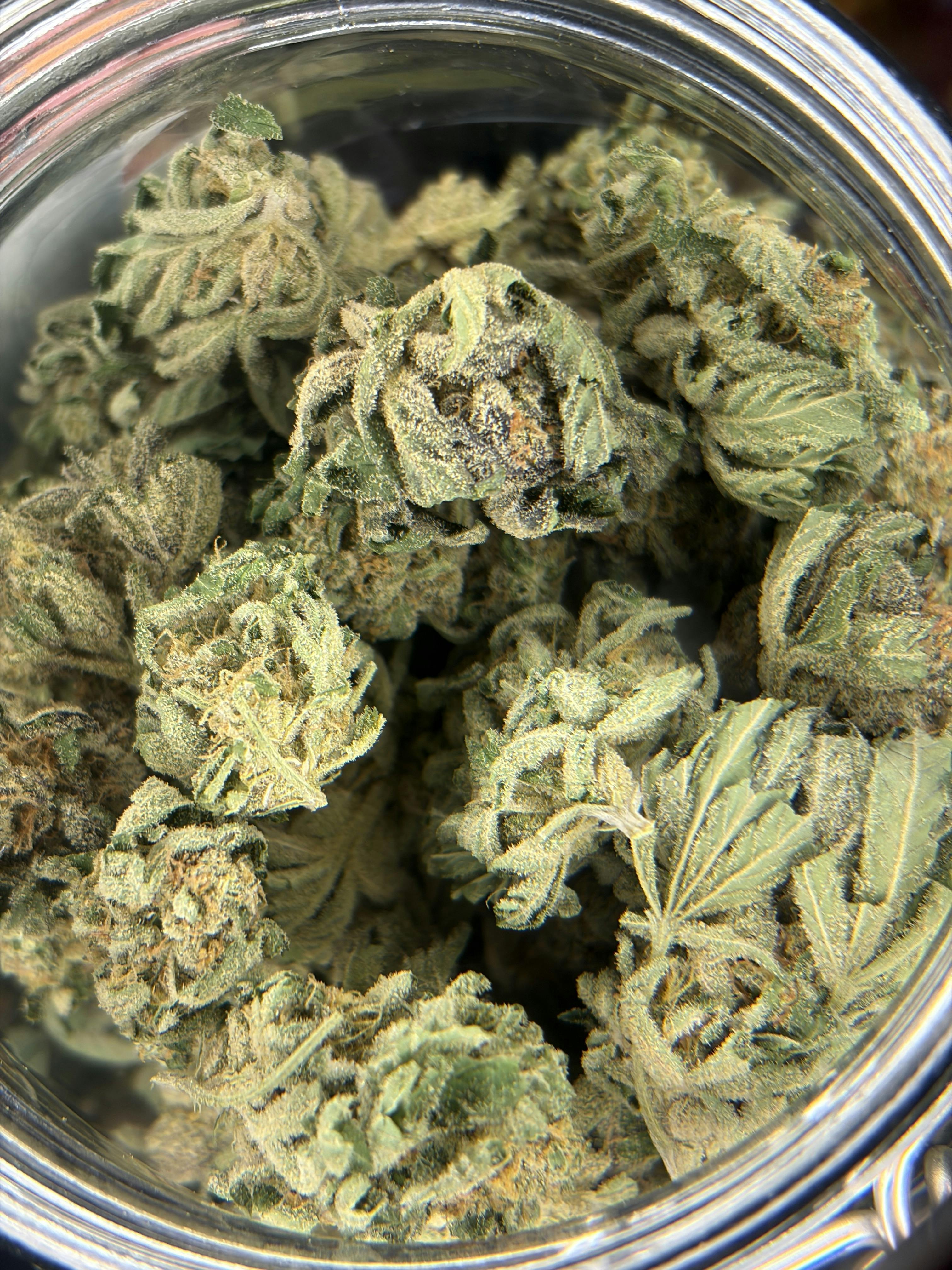 Purple Milk: Buds- For $6 Deal