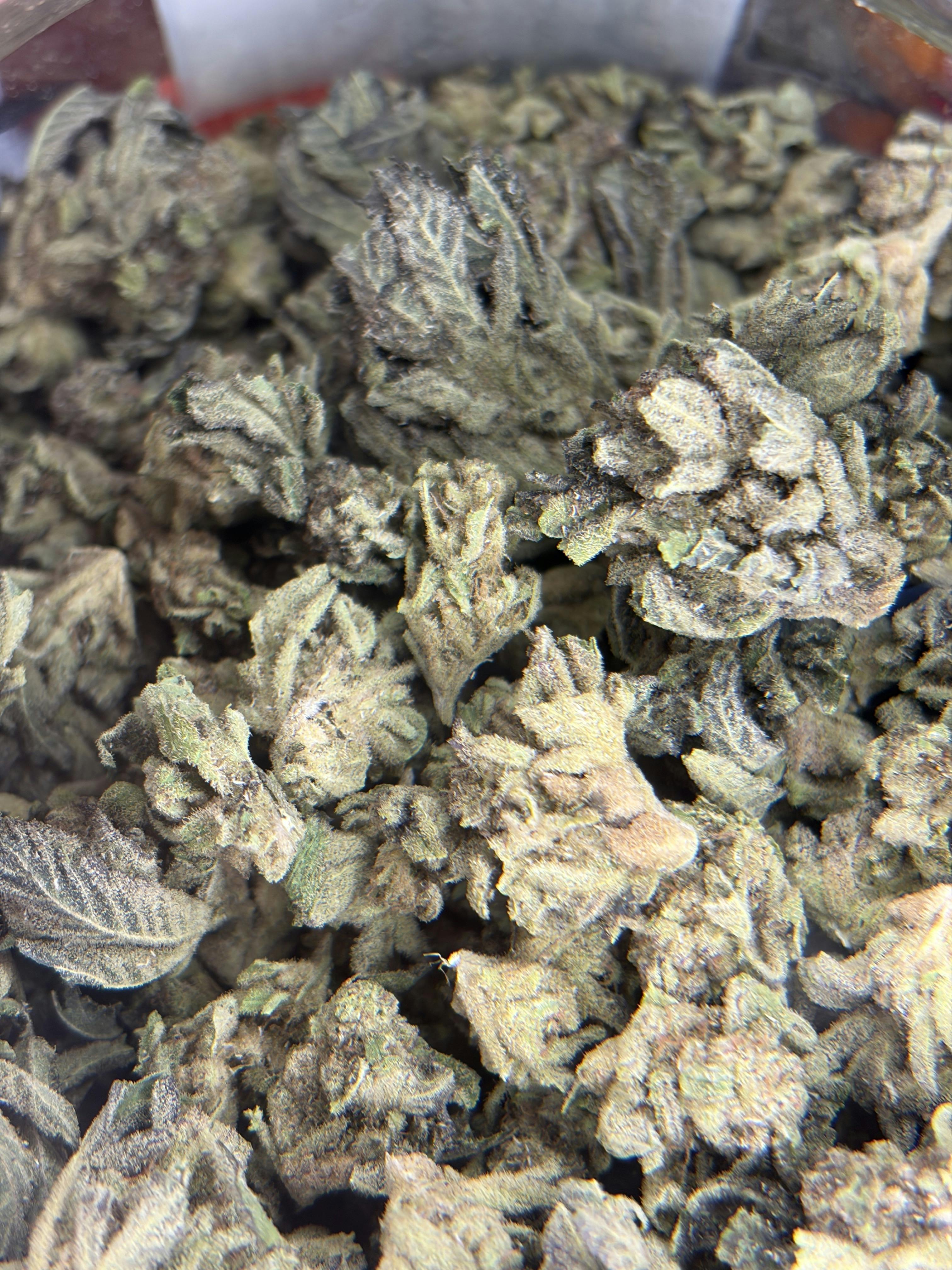 TRAP: Fuel Buds- For $6 Deal