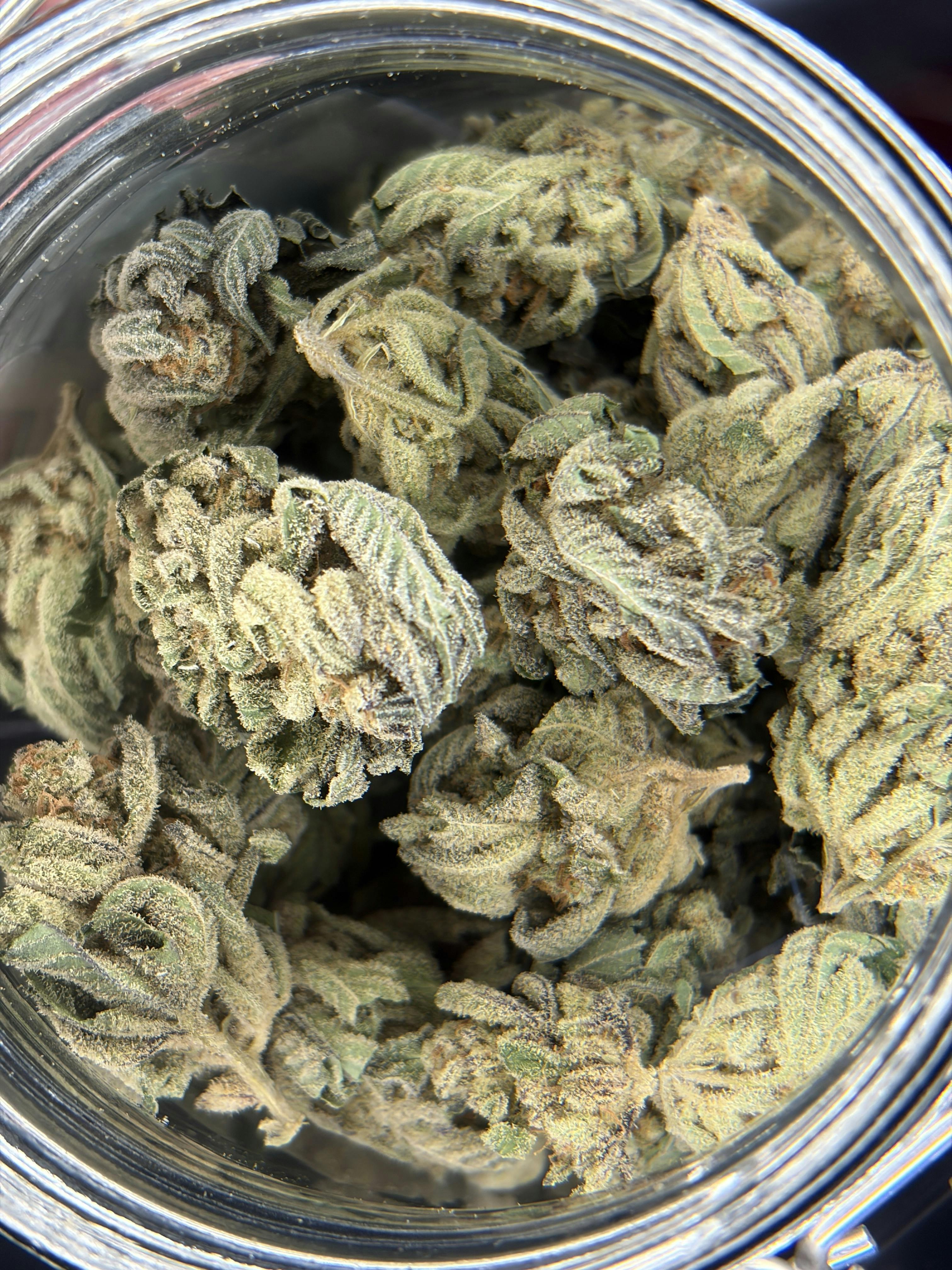 Glitter Bomb: Buds- For $10 Deal