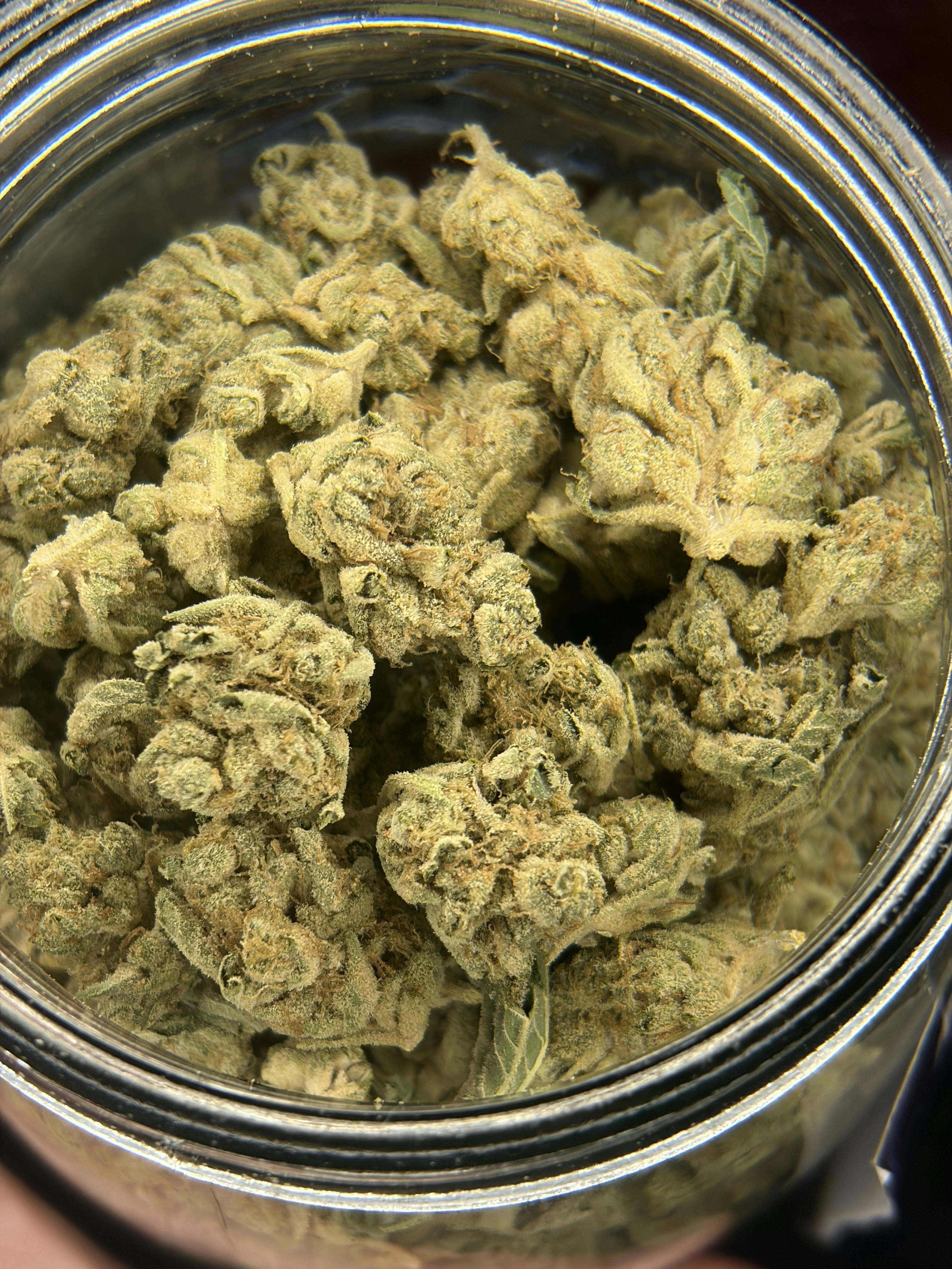 Gorilla Breath: Buds- For $10 Deal