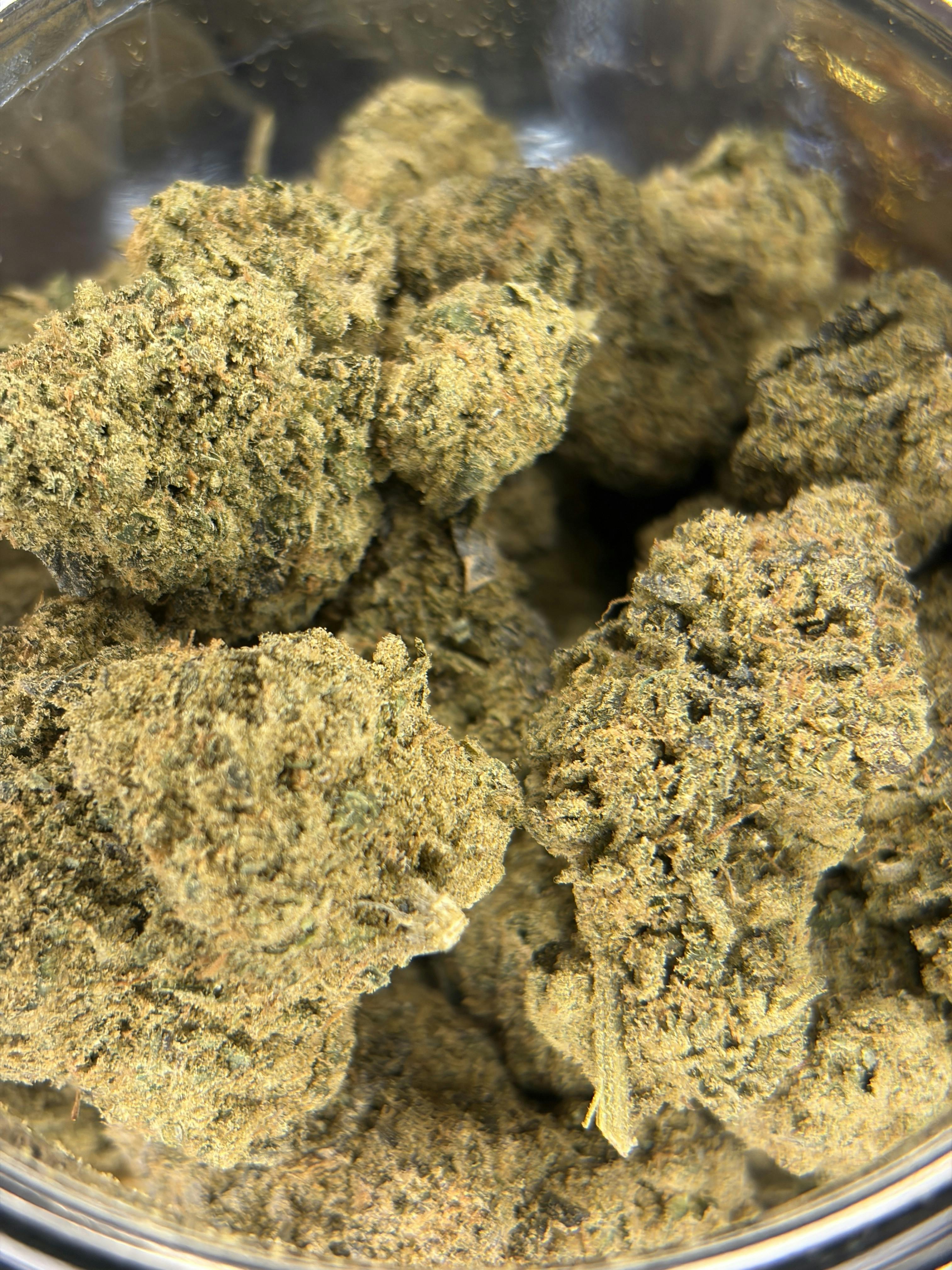 Watermelon Gelato: For $10