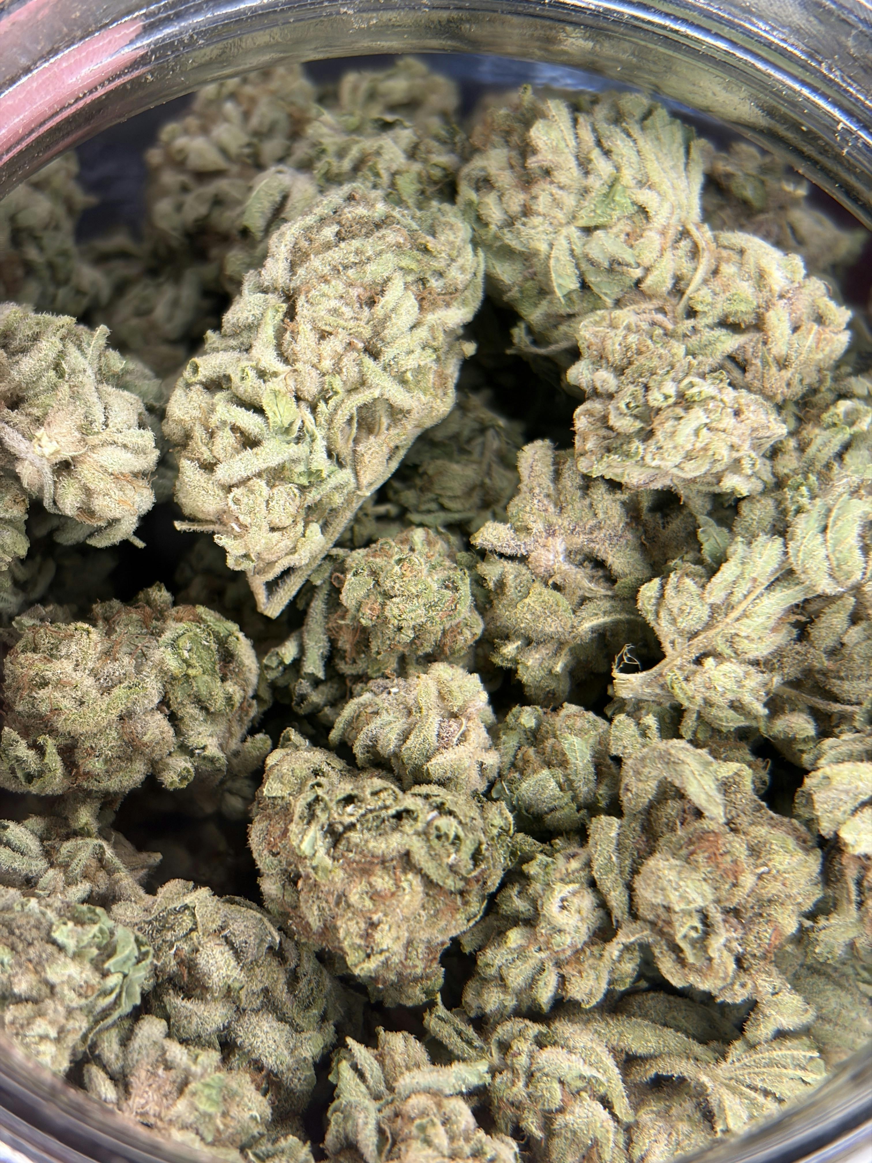 Sticky: Buns Buds- For $6 Deal