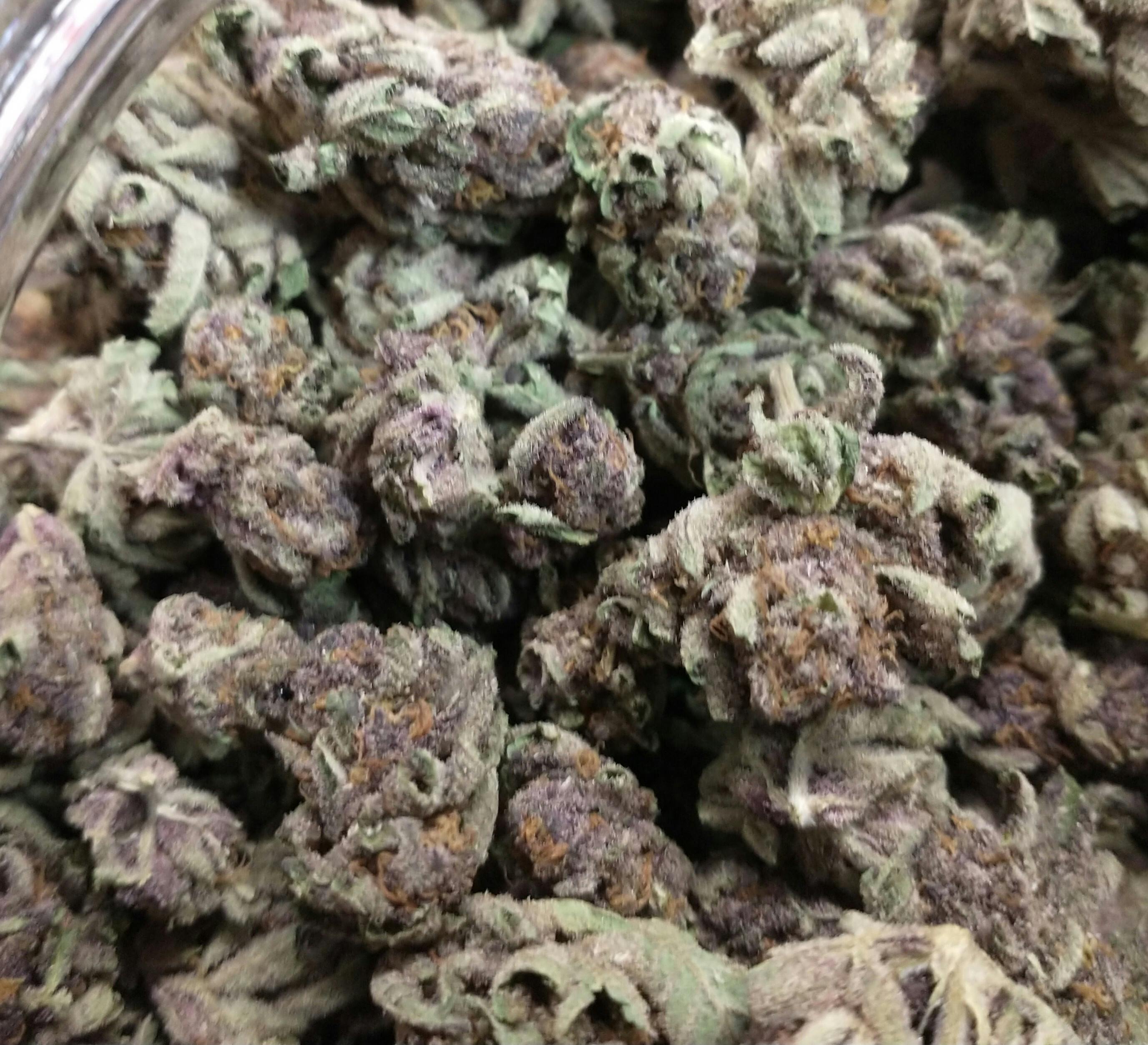 Tropicana Cherry: Buds- For $10 Deal