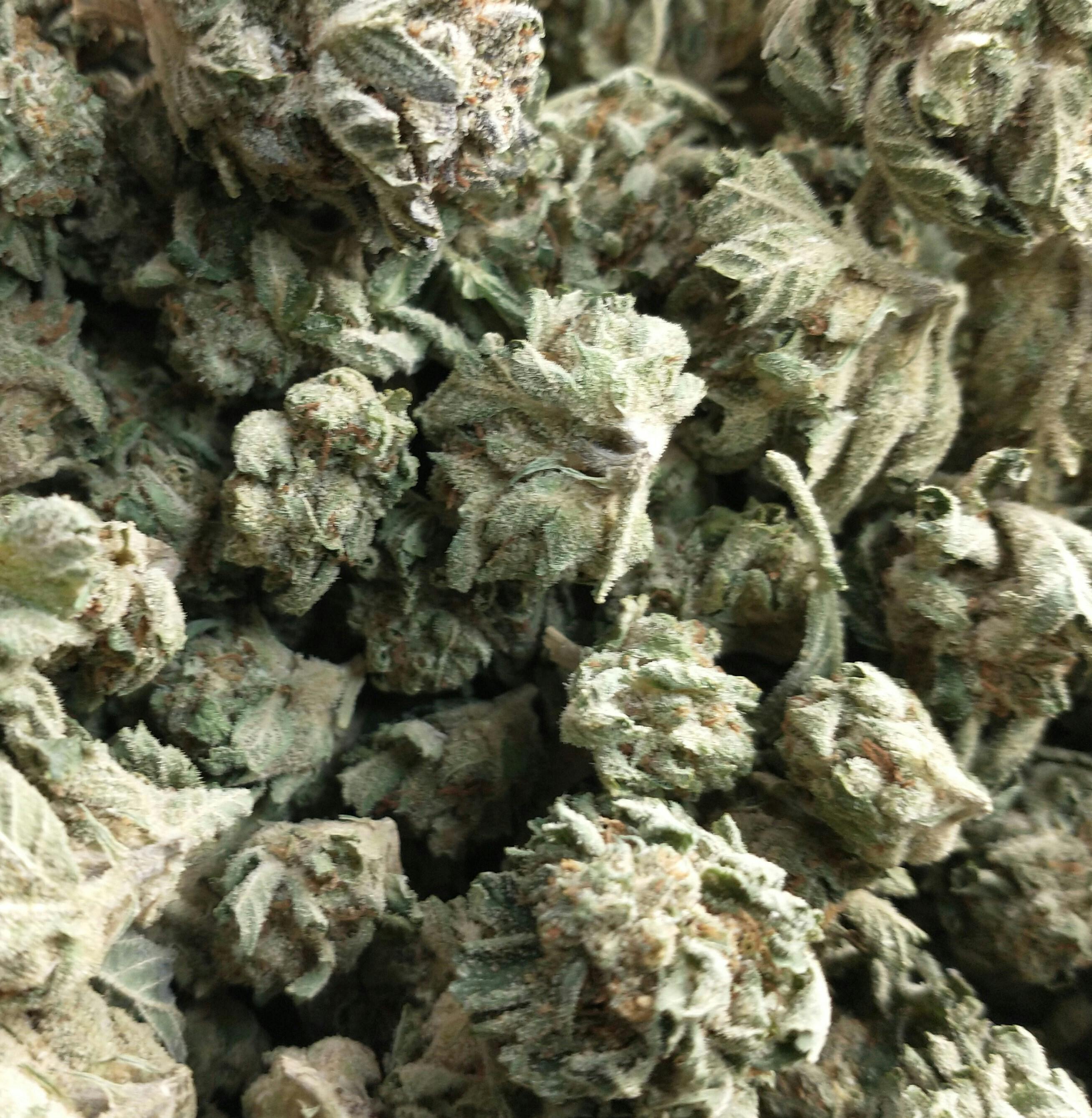 Jokerz Candy: Buds- For $6 Deal