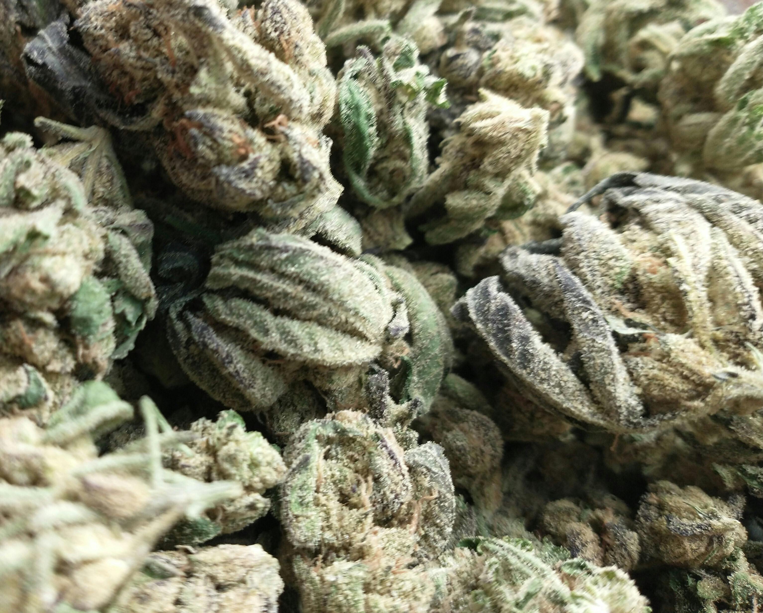 grape gas: Buds- For $6 Deal