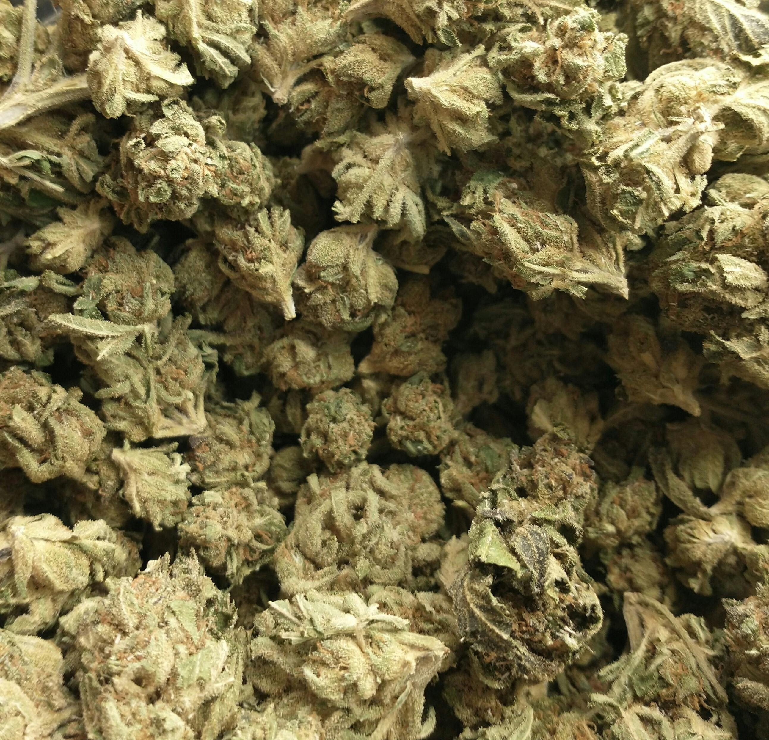 lemon cherry gelato: Buds- For $6 Deal