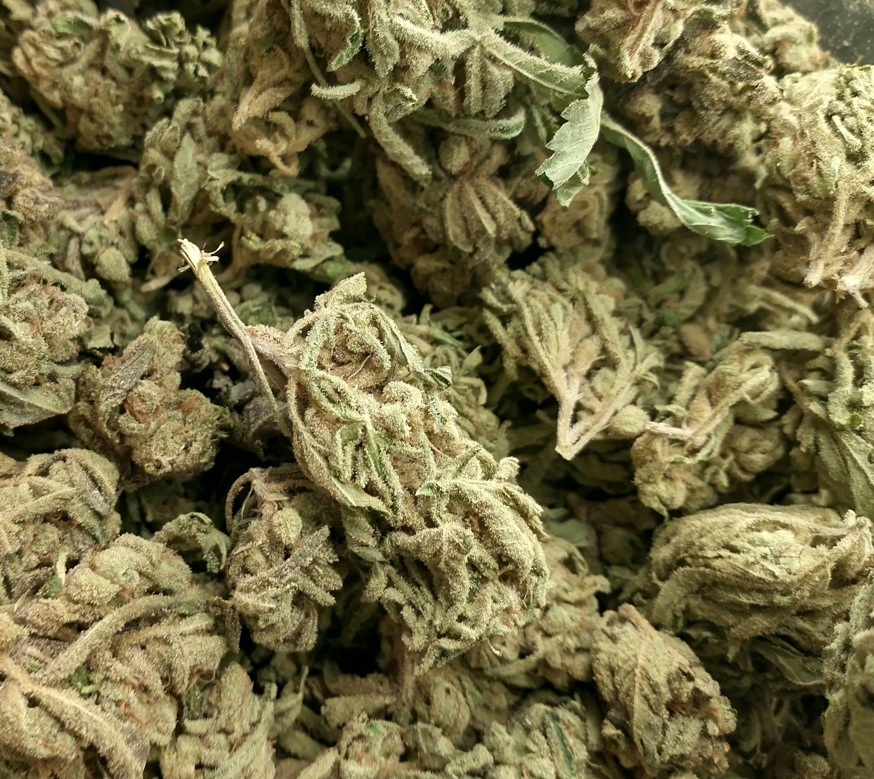 BLUE ANDEZE: 1/OZ Pre-packaged Buds- $