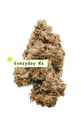 Everyday Black Amber 3.5g