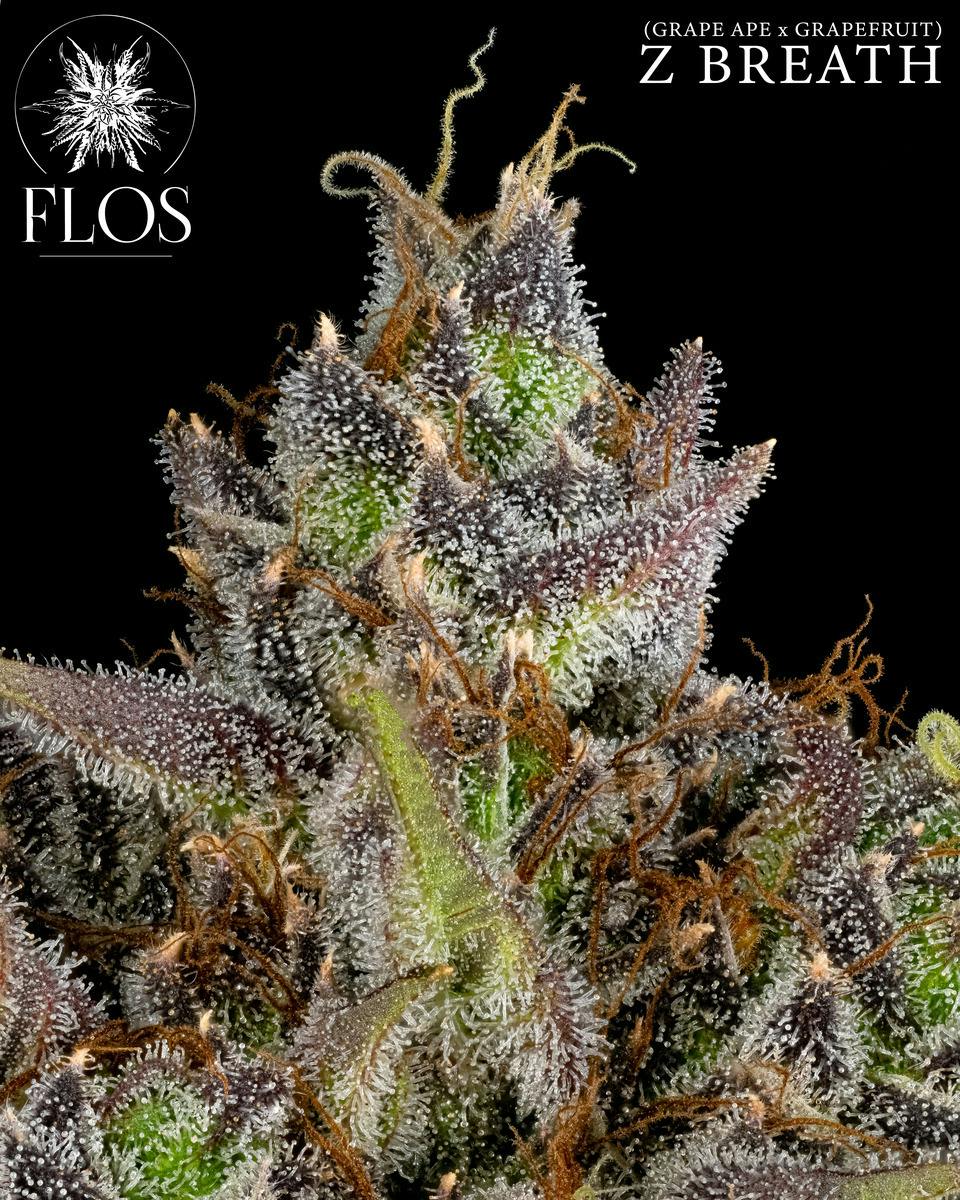 Flos | Z breath | Deli style