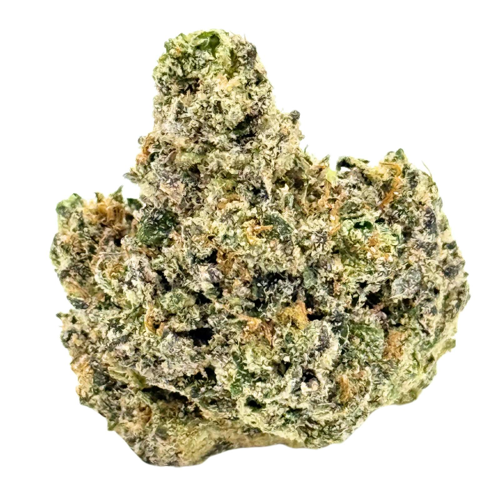 WGE | Sherb Cream Pie | Bulk Flower