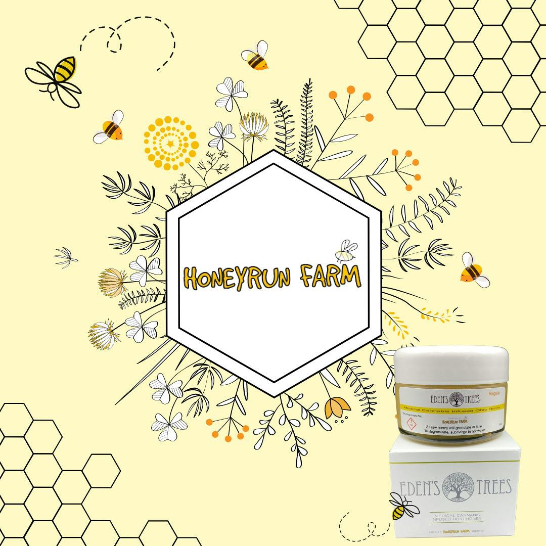Natural | Infused Honey 550mg