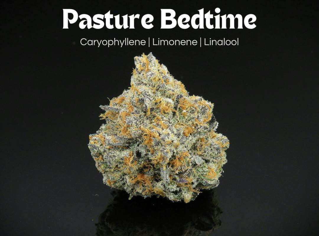 Pasture Bedtime | Flower 1