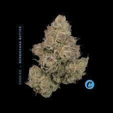 Berniehana Butter | Flower