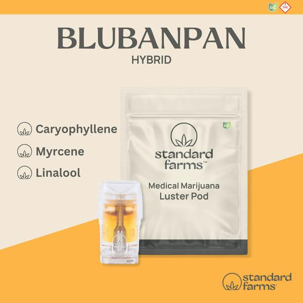 BluBanPan | Luster Pod