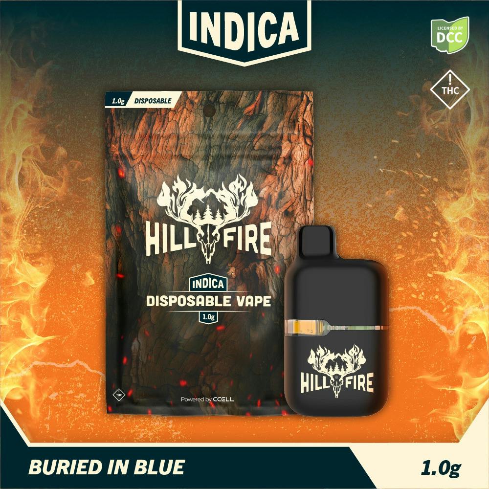 Buried in Blue | Disposable