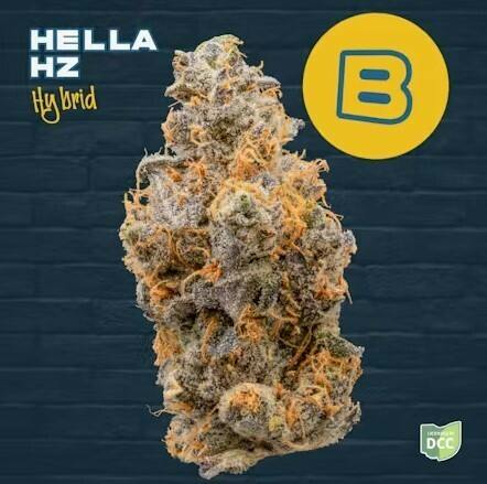 Hella Hz | Flower