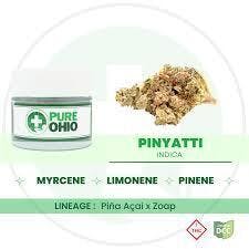 Pinyatti | Flower