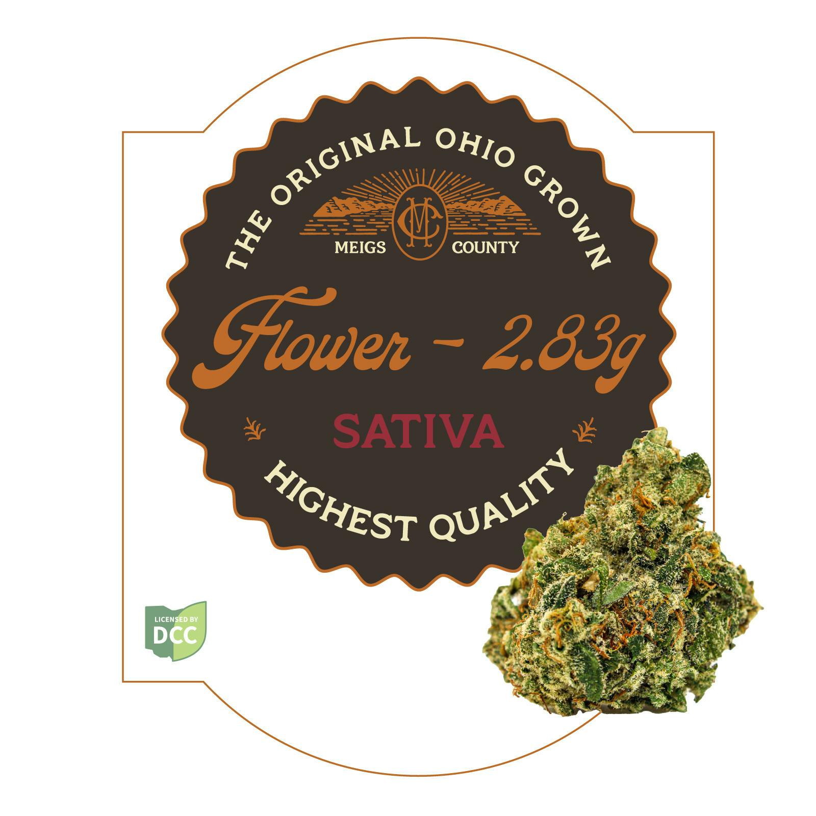 Wizard Spray #1 - Country Cut | Flower