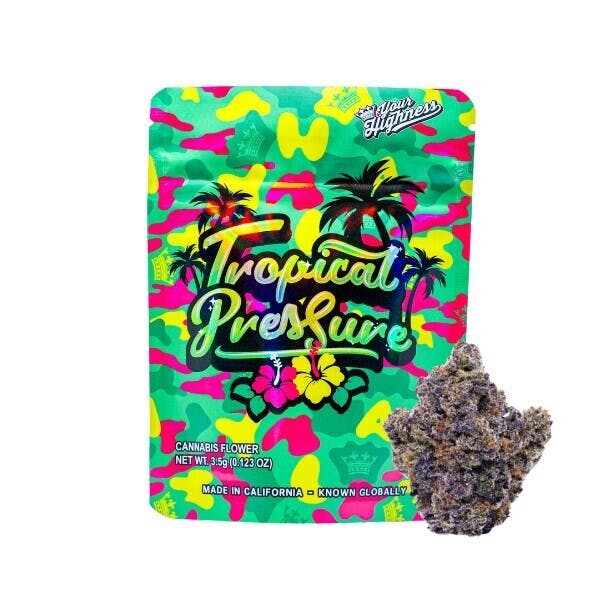 Your Highness — Tropical Pressure