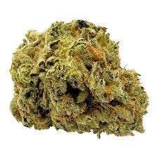 First 7G