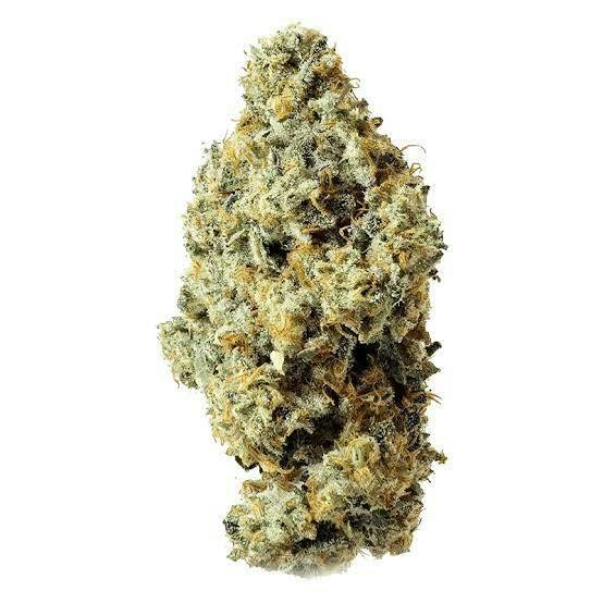 Pink Cookies x Kush Mints 14g Dried Flower