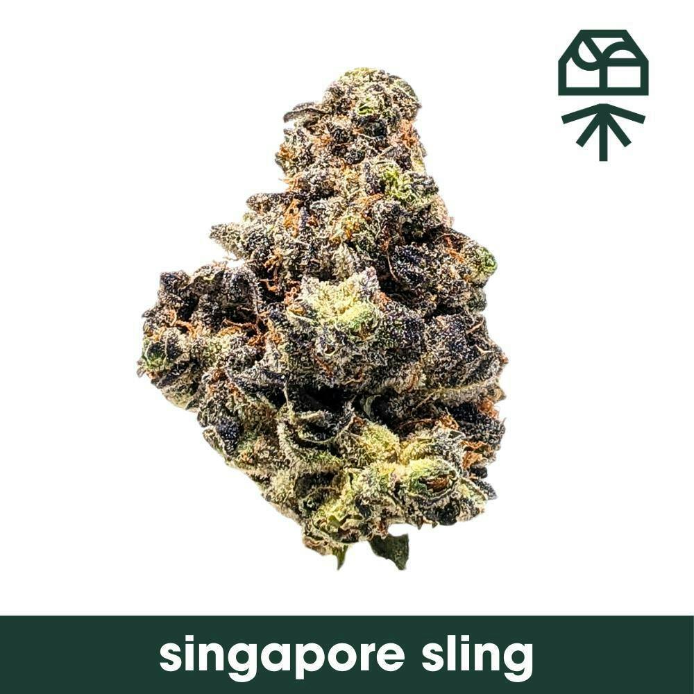 Singapore Sling T2