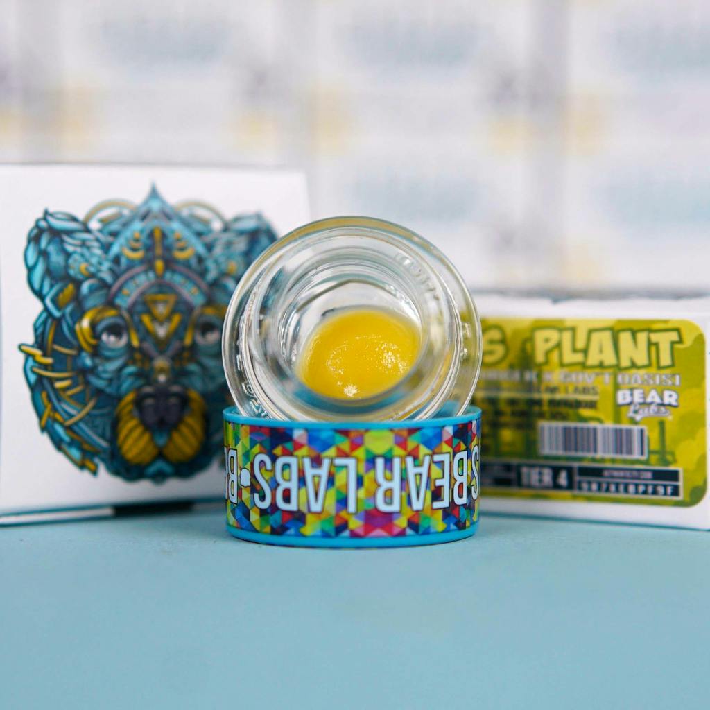 BEAR LABS - T4 CURED RESIN BUDDER - GAS PLANT 1G