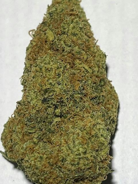 Elevated Heights Sugar Black Rose, Flower