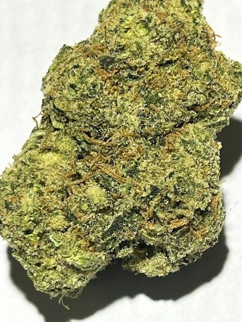 Elevated Heights Jack Herer