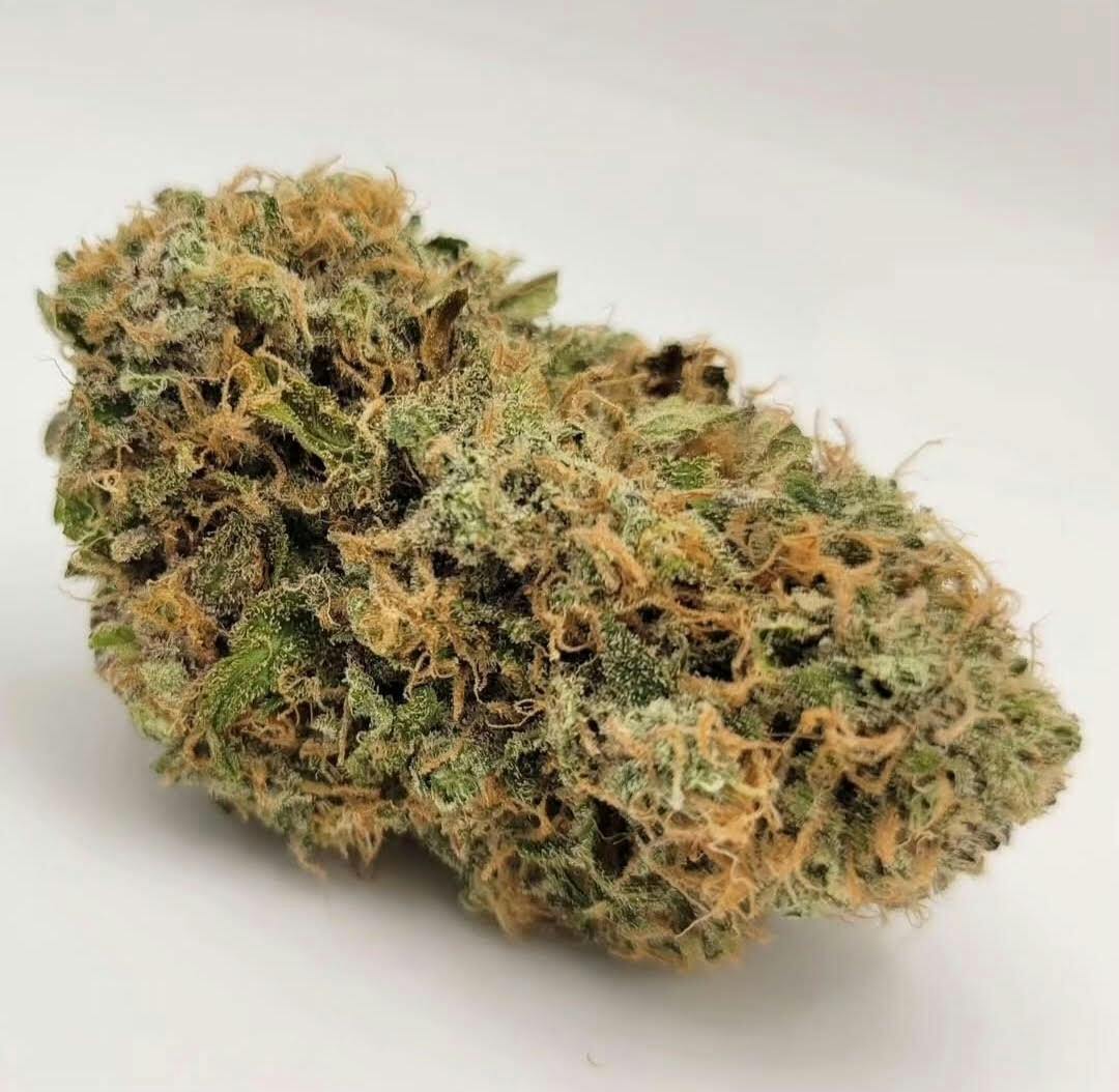 Alaska GreenWorks Orange Dream