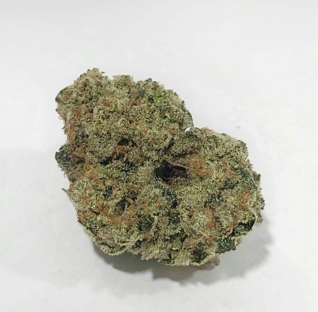 Alaska GreenWorks Glass Slipper