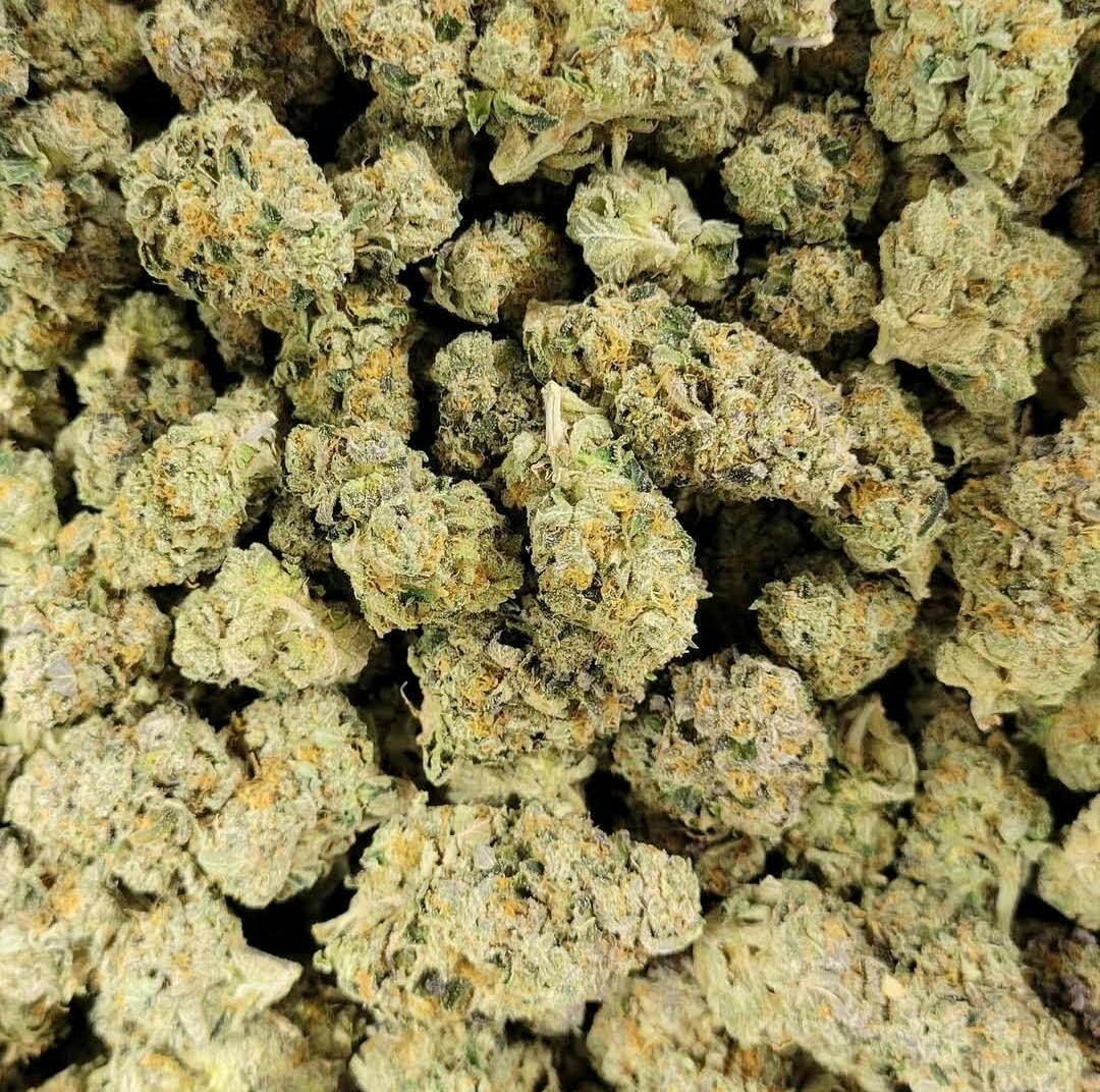 Alaska GreenWorks Cheetah Zawtz