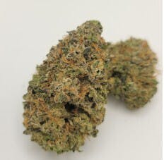 Alaska GreenWorks Gelatti Funk