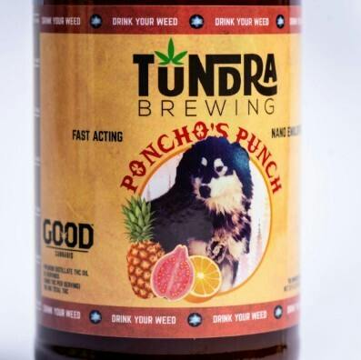 Tundra Brewing Poncho's Punch 100mg