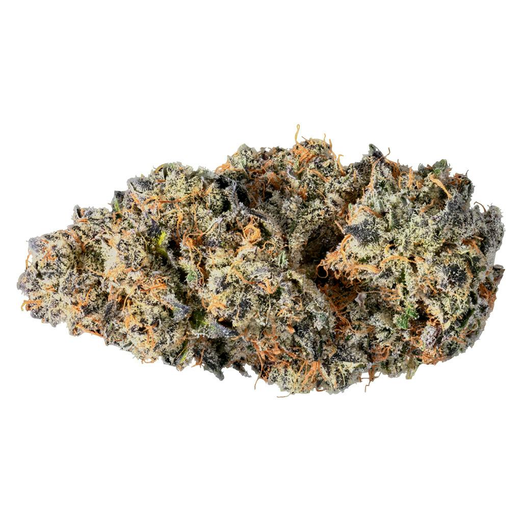 Tribal- Terple Pre Roll