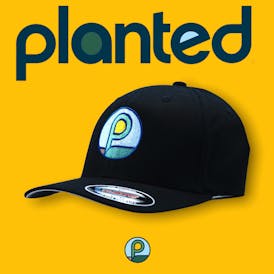 Wear-Planted | Flexfit Hat w/ Multi-Color P Coin | Black | S-M Fit