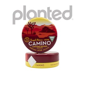 Camino Pineapple Habanero Uplifting Gummies 20x5MG