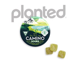 Camino Sours Citrus Punch Bliss Gummies 10x20MG