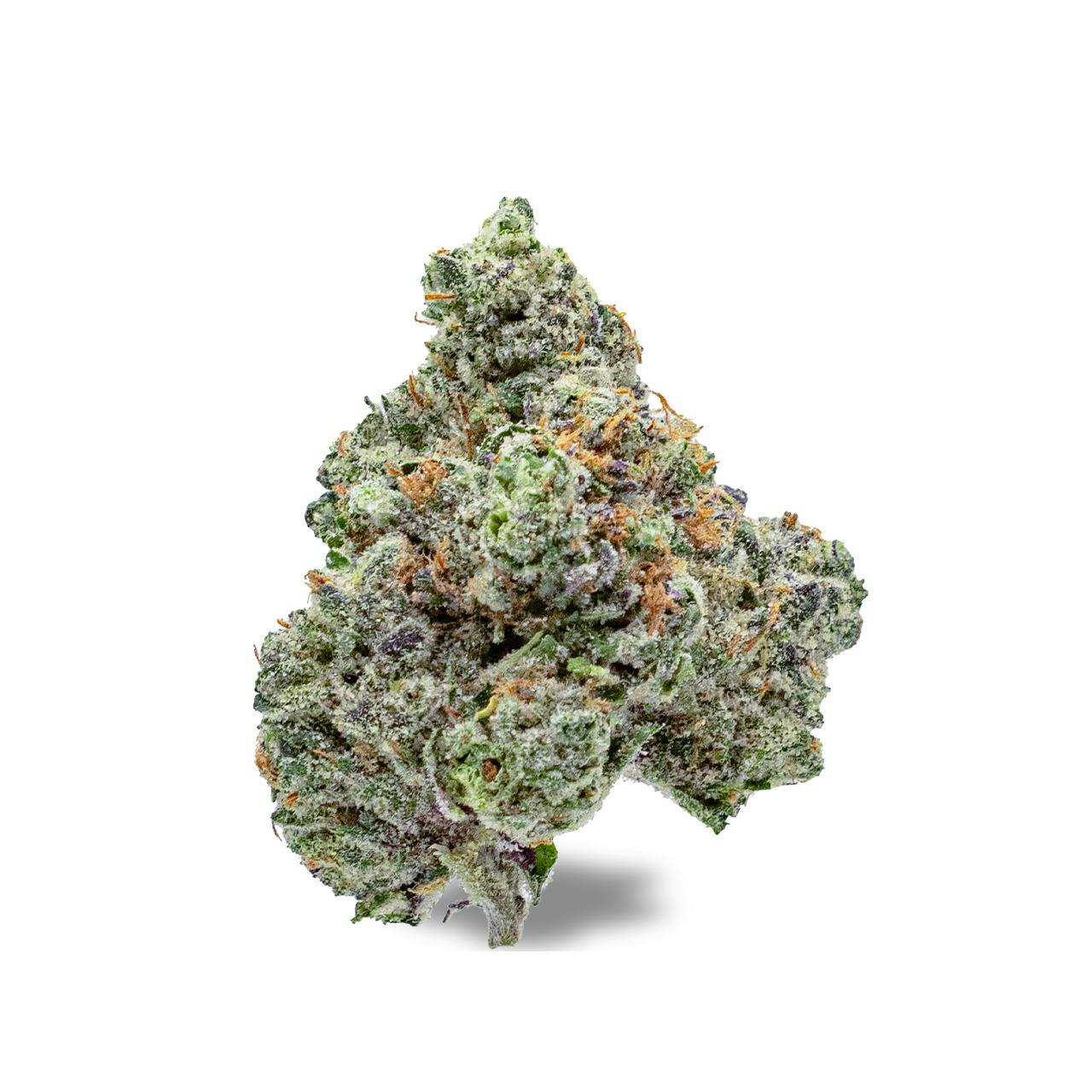 SOCIETY C | SMACKERZ | HYBRID | DELI-STYLE FLOWER | REC