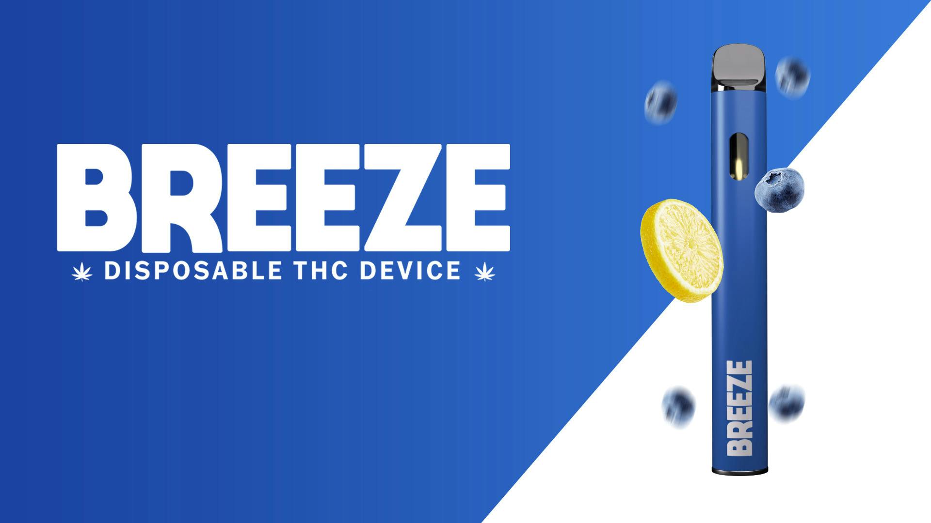 BREEZE CANNA | BLUEBERRY LEMONADE | HYBRID | DISPOSABLE VAPE | 2G |