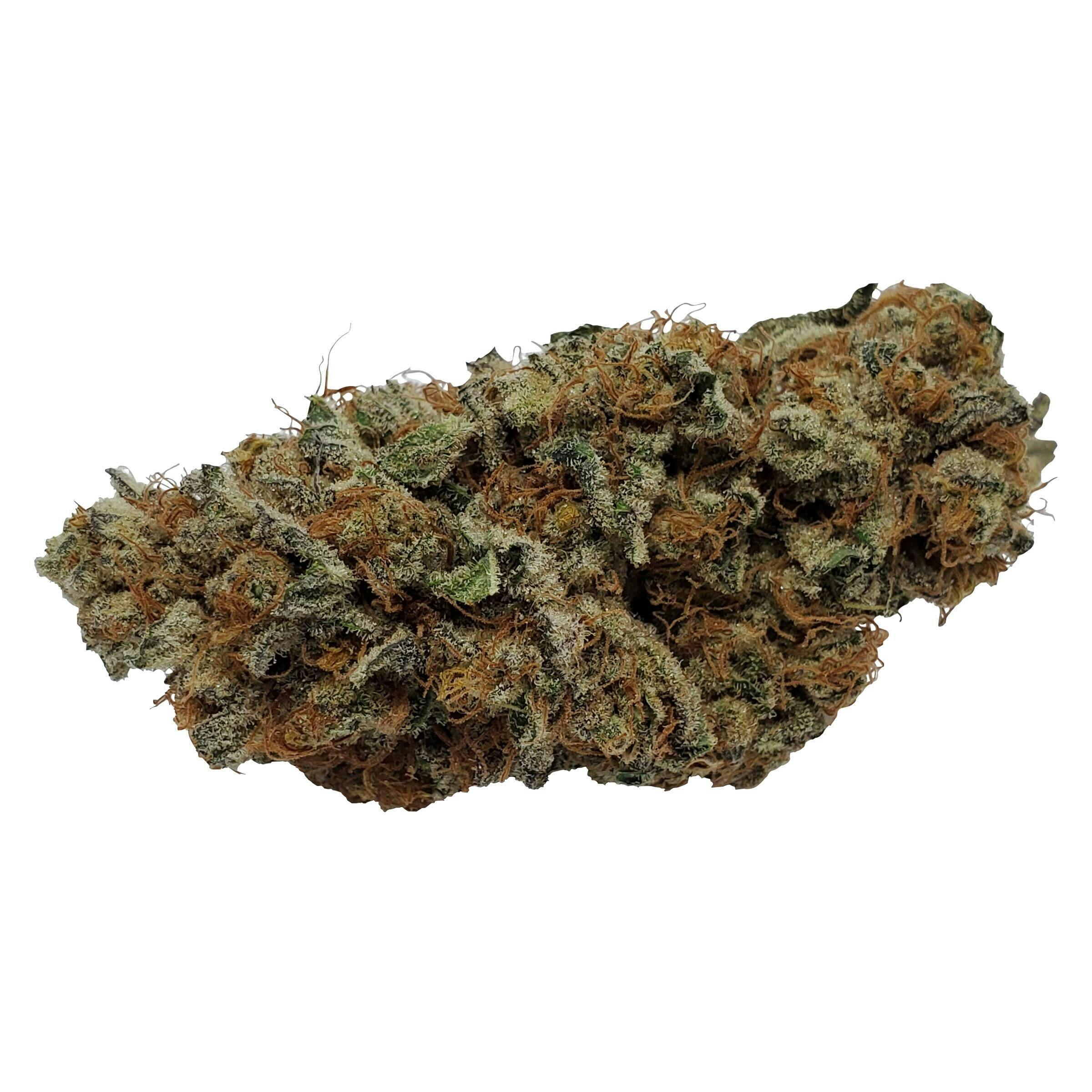 Color Cannabis - Pedro's Prima Sativa 7g