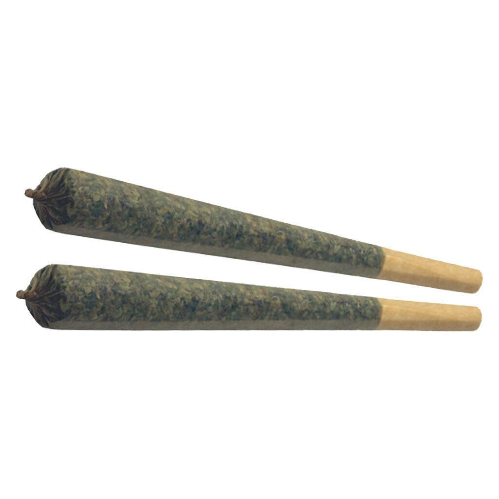 Starting Point! - Moon Drifter 20x0.5g Pre-rolls