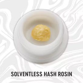 Grease Monkey Live Hash Rosin (1g)