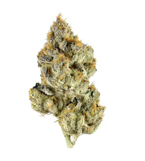 Lemon Cherry Gelato 3.5g