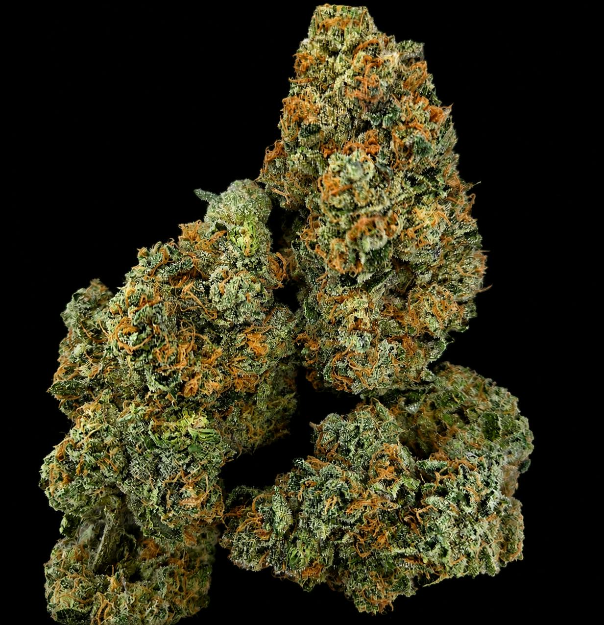 Black Maple 3.5g